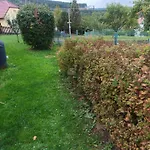Pohorsko-chata Holiday home
