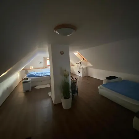 Pohorsko-chata Holiday home *