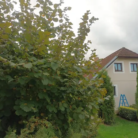 Holiday home Pohorsko-chata *